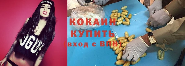 МДПВ Елизово