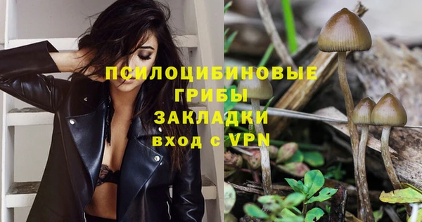 МДПВ Елизово